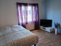 Appartement 1 Chambre Standard