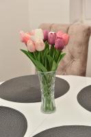 Dora Apartman - B&B Bačka Topola