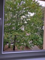 Apartmán blízko centra - Ferienwohnung