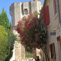 La Maison Perrin - B&B Aigues-Mortes