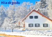 Soba tete Tile - Hiša ob gozdu - Bed and Breakfast Ptuj