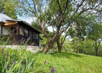 Casa din sat - B&B Marginea Pădurii