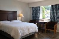 Camera Queen Standard