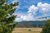 Riverside Haven - Turangi Holiday Home - B&B