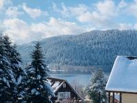 Duplex dans chalet avec superbe vue lac et piscine commune - B&B Gérardmer