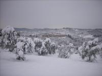 I Parigi Corbinelli Residenze - B&B Firenze