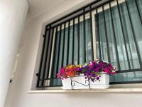 Matteotti35 - Ferienwohnung Terrasini