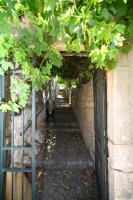 Vintage house Kolocep - B&B