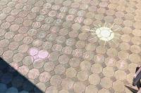 Wohnung am Waldrand am Tanneneck - B&B Plettenberg