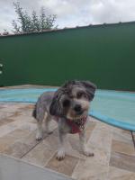 Casa com pisina infantil em Brotas - B&B Brotas