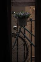 Gio House Genova - B&B