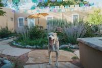 Dos Hermanas Casita 8 Downtown Courtyard Patio - B&B Santa Fe