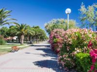 Villa Idéale avec Piscine Chauffée à 1500m des Plages, 3 Chambres et Parking, Argelès-sur-Mer - FR-1-732-31 - Chambres d'hôtes Argelès-sur-Mer