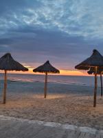 Apartamenty MEDUZA - Bed and Breakfast Białogóra