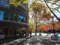 City Plaza - B&B Canberra