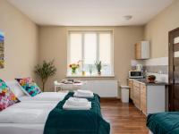 Classic Apartment