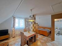 Apartment with Shower