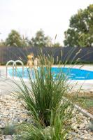 Casa Cordis - B&B