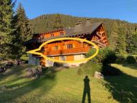 Magnifique chalet appartement à Villars, vue sur les alpes - Bed and Breakfast