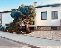 Relaxační studio VERA s UBYTOVÁNÍM - B&B Valtice
