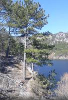 Planinska Zora - Chambres d’hôtes Bobova Ulica