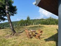 Cabana din deal - Bed and Breakfast Poiana Vadului