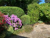 Cosy Cottage with Quiet Garden - Bed and Breakfast Edern