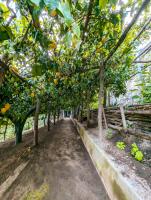 Casa Emi - B&B Amalfi