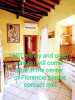 Apt bright, quiet! In the center. - B&B Florence