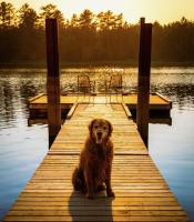 Compass Cove Cottage Oceanfront and Private trails - Chambres d’hôtes Waweig