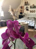 Dreibettzimmer mit eigenem Bad