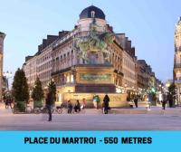 Joli studio au coeur d'Orléans et bords de Loire - B&B Orléans