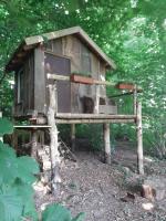 Baumhausnächte - Bed and Breakfast