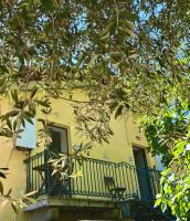 Casa Olive 53 Mare - B&B