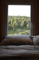 Mountain Paradise Cabins - Chambres d’hôtes Žabljak