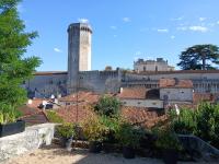Joli gîte avec vue sur le château - Ferienwohnung Bourdeilles