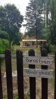Borostyán Vendégház - B&B