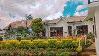 Silver Rose Holiday Home - B&B Nuwara Eliya