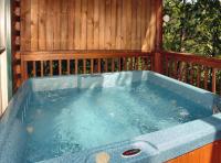 Buddy Bear #249 - Ferienwohnung Pigeon Forge