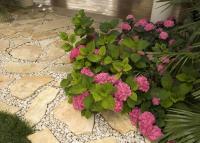 Villa la Perla - B&B