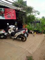 Natural Bungalow - Bed and Breakfast