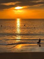 100m2 de paradis en total vue Mer - Ferienwohnung Saint-Georges-de-Didonne