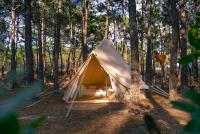 Tienda Emperador Junior