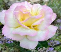 Stadtmitte-Iserlohn - Bed and Breakfast Iserlohn