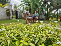 Lucky's Oasis - B&B