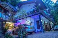 New Blue Home - Bed and Breakfast