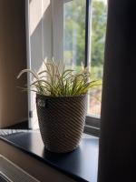 PrinsHaerlyck Overnachten - Bed and Breakfast