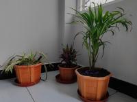 TARA Guest House - Ferienwohnung Ujjain