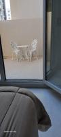 Ventana 2 - Bed and Breakfast Puerto Madryn