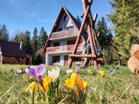 Chata Romanka - B&B Sopotnia Mała